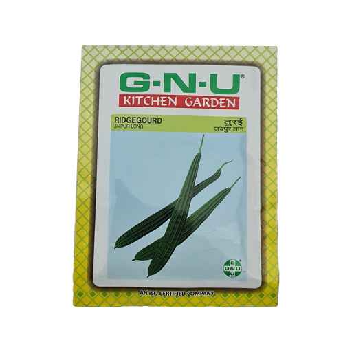 [VESE RIJL W10GM] Seed Ridgegourd Jaipur Long 10 gm