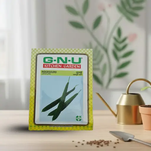 [VESE RIJL W10GM] Seed Ridgegourd Jaipur Long 10 gm