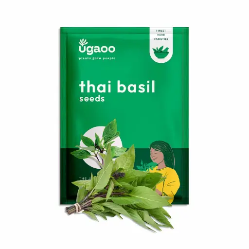 Seed Basil