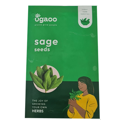 [VESE SAGE] Seed Sage