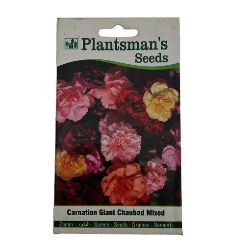Seed Carnation Giant Chaubad Mixed