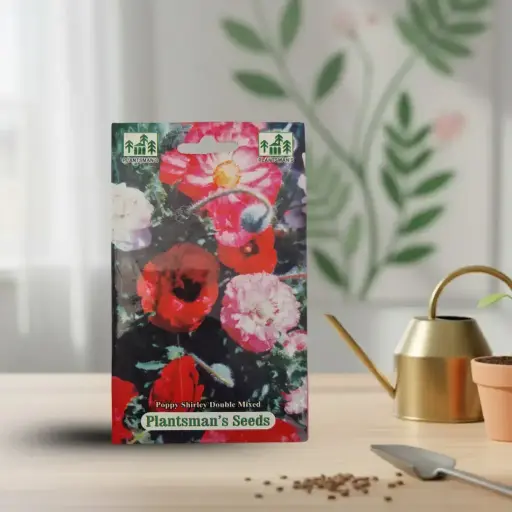 Seed Poppy Shirley Double Mixed