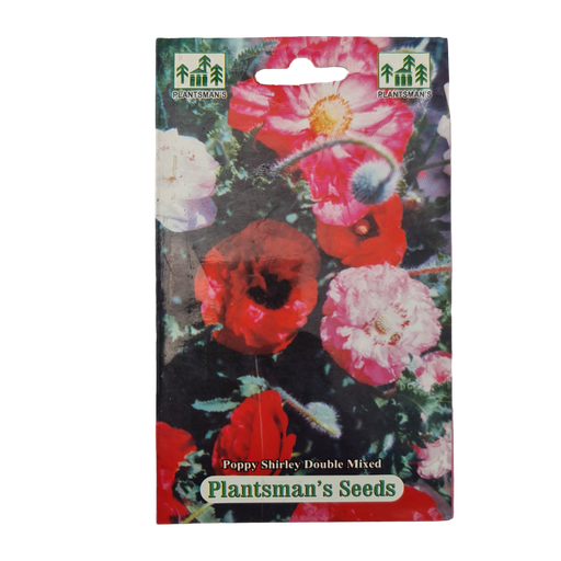 Seed Poppy Shirley Double Mixed