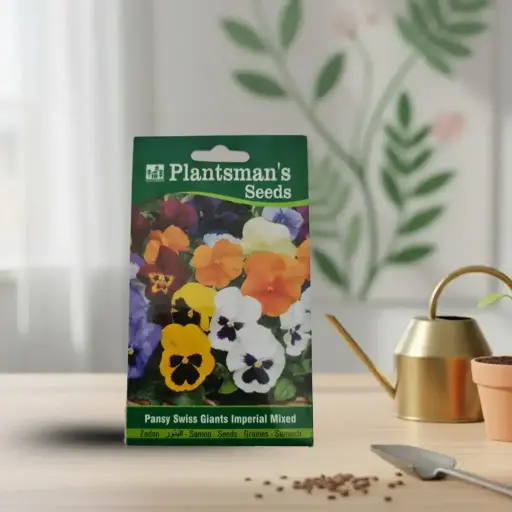 सीड पॅन्सी स्विस जायंट चौबड़ मिक्स्ड