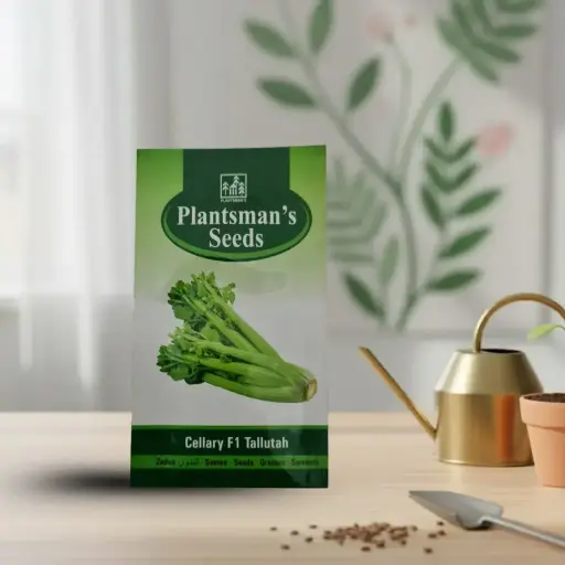 [VESE SECE Q100] Seed Celery F1 Tallutah