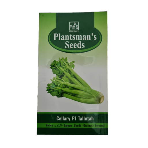 [VESE SECE Q100] Seed Celery F1 Tallutah