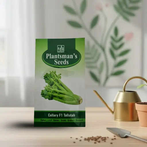 [VESE SECE Q100] Seed Celery F1 Tallutah