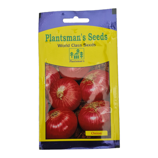 Seed Onion PMS 205