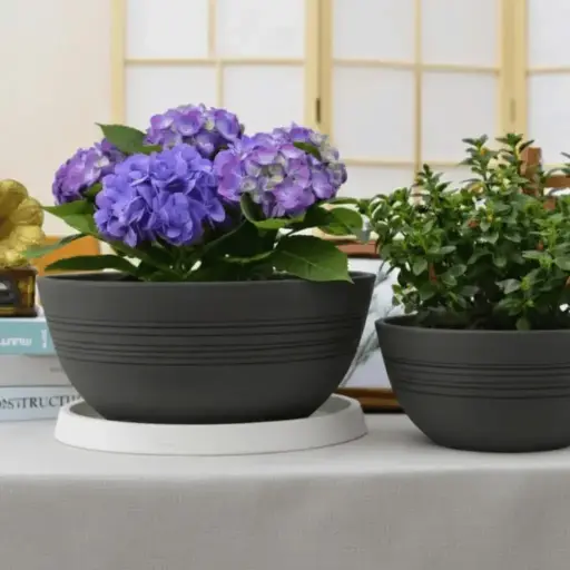 पॉट सिल्क रोड बी