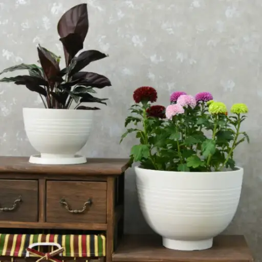 [POPS WHRO D012 H009] Pot Silk Road Bowl White Stone