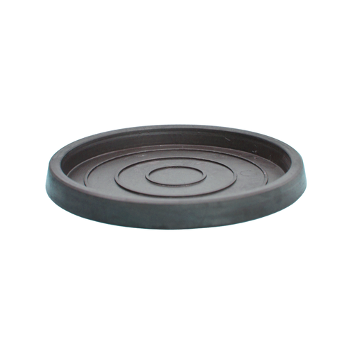 Saucer 09-19
